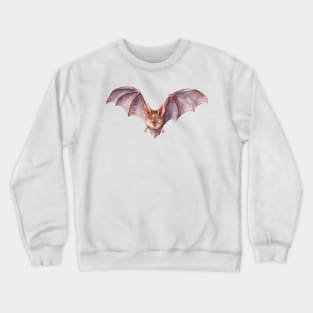 Vampire Bat Crewneck Sweatshirt